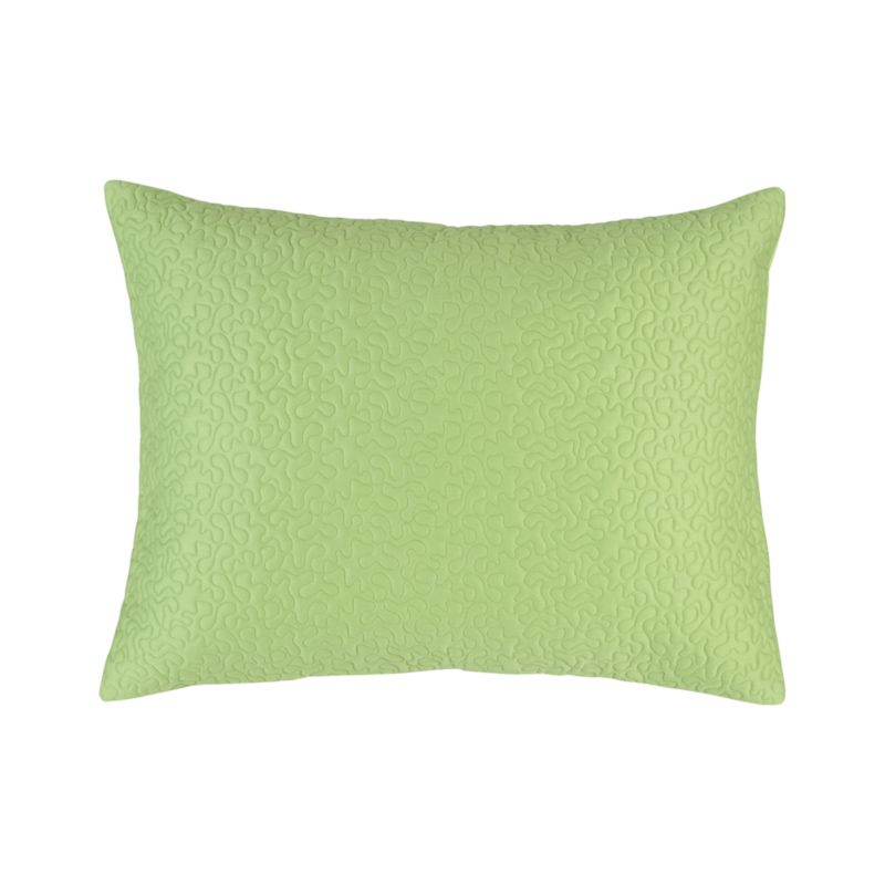 Loren Standard Sham. Green. 20"Wx26"L