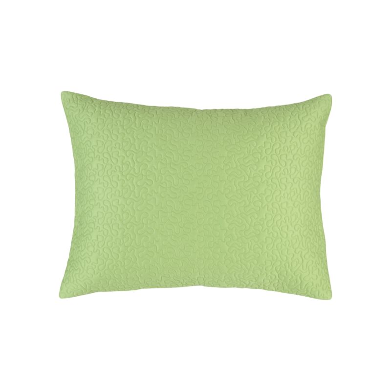 LorenGreenStandardShamS12
