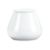 MadisonSugarWLidS12R