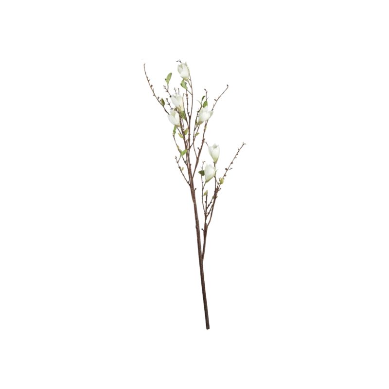 MagnoliaBranchS8