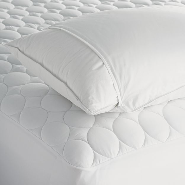 Set of 2 King Pillow Protectors + Reviews Crate and Barrel