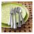 Max16-PieceDinnerwareStMI12
