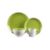 MaxGreen4pcPlcsetS11
