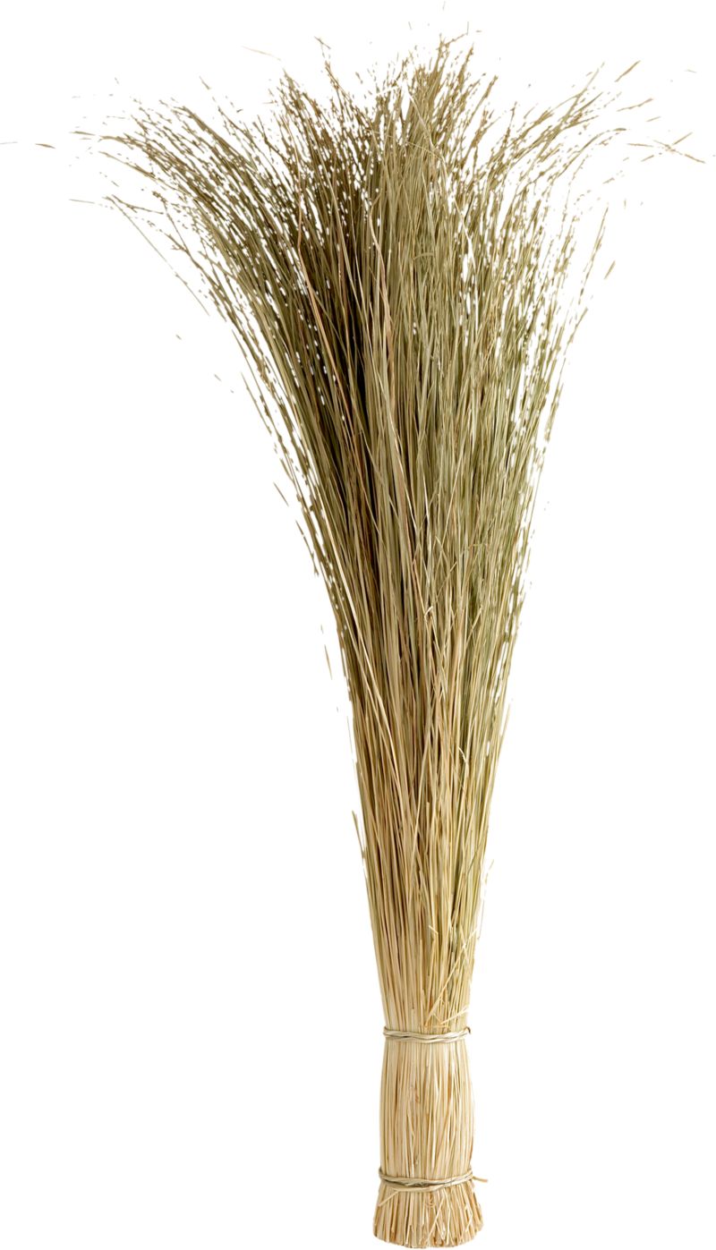Meadow Grass Bundle
