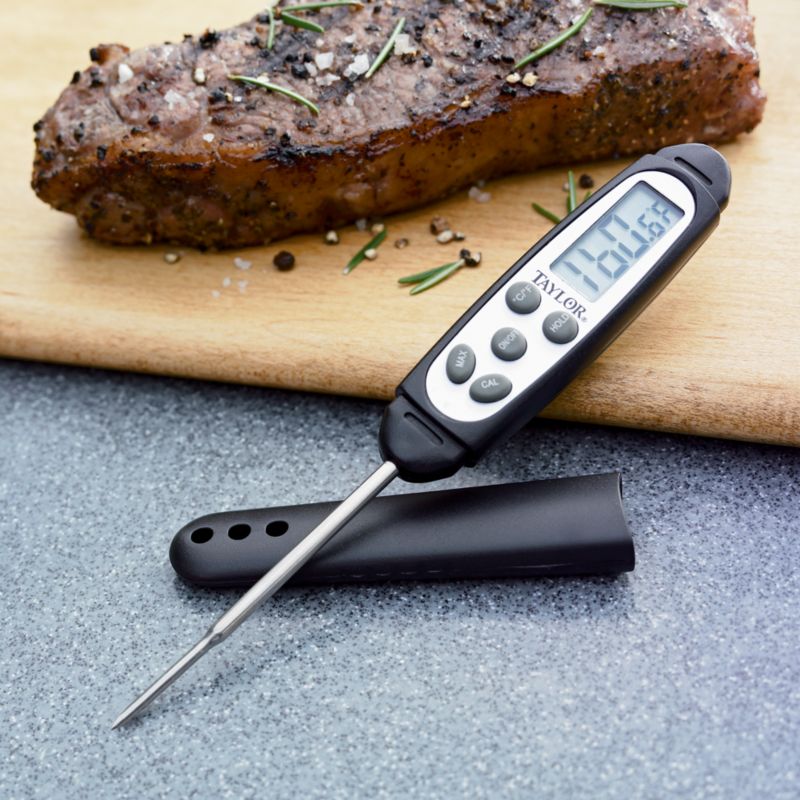 Mini Instant Read Thermometer
