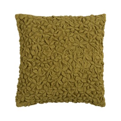 Mollusk Olive 18