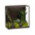 NaliniShdwBxTerrariumS12