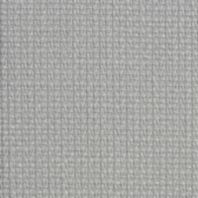 Napa: Pewter