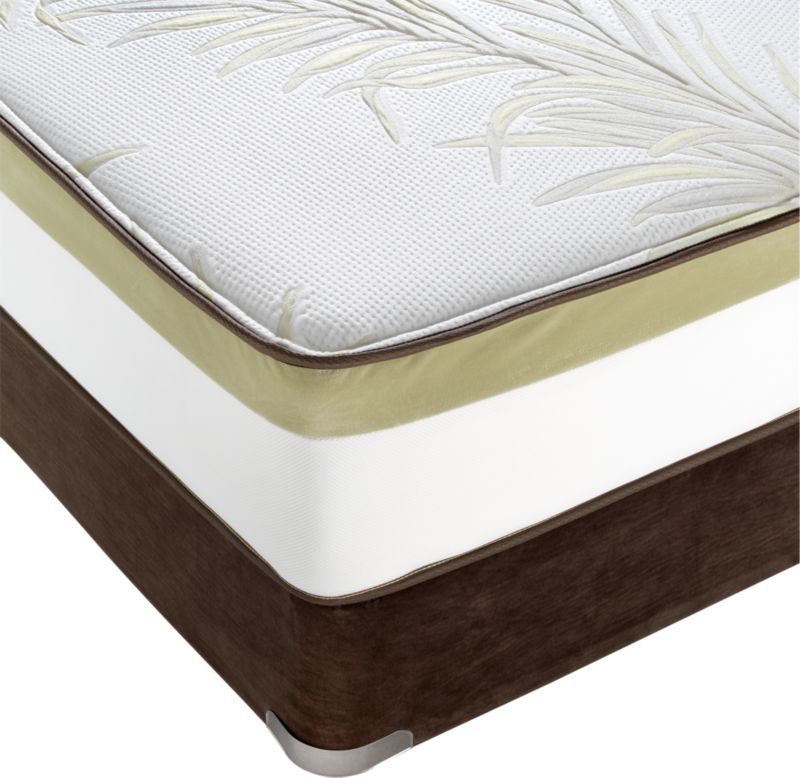 Simmons® Queen Natural Care® Mattress