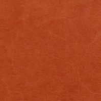 Notting Hill: Copper
