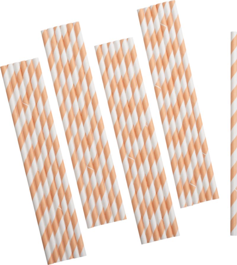 Set of 25 Orange Paper Straws