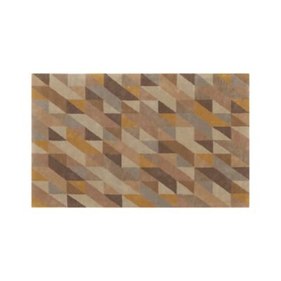 Paradigm 5x8 Rug