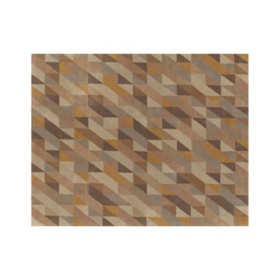 Paradigm 8x10 Rug