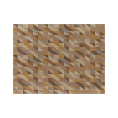 Paradigm 9x12 Rug