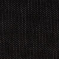 Petry: Black