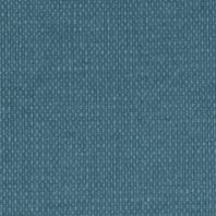 Petry: Blue