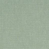 Petry: Spruce