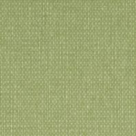 Petry: Willow