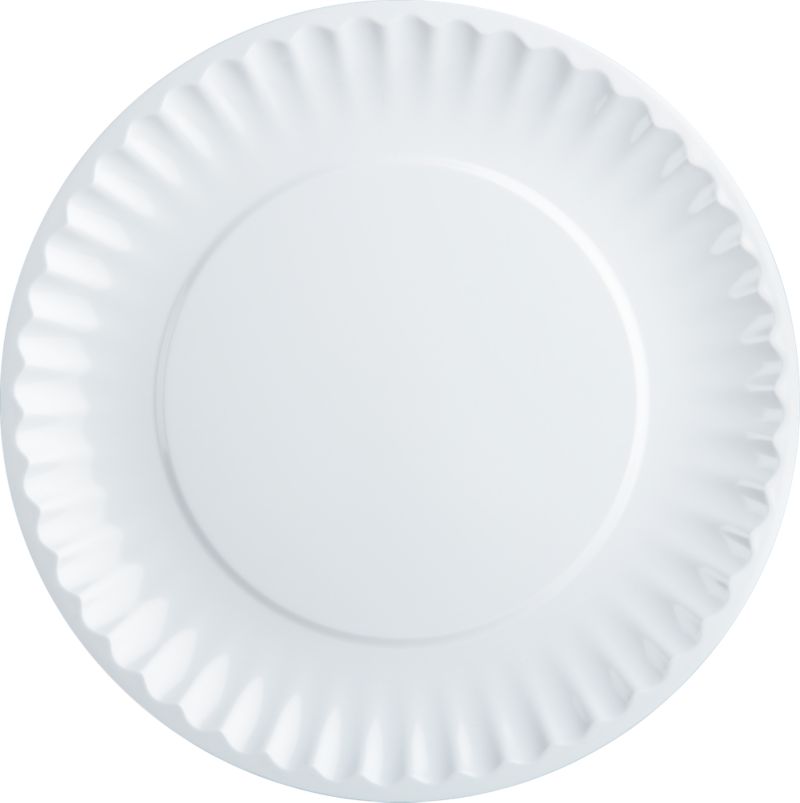 Picnic White Dinner Plate