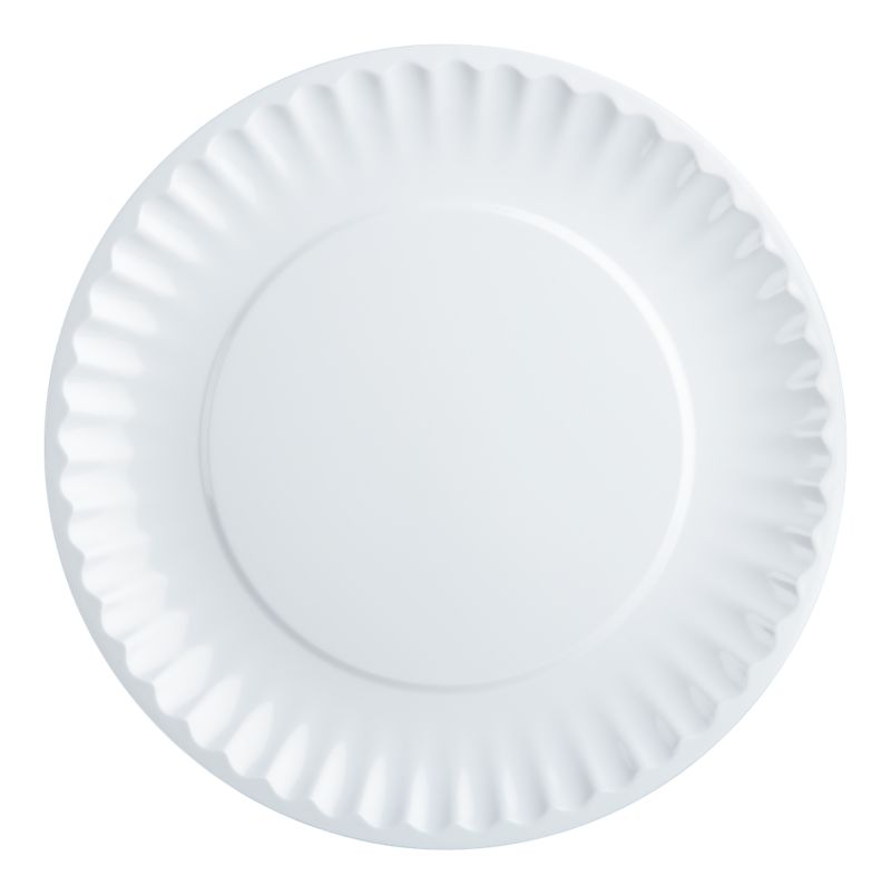 PicnicDinnerPlateWhiteOT11