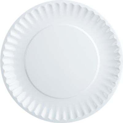 Picnic White Dinner Plate
