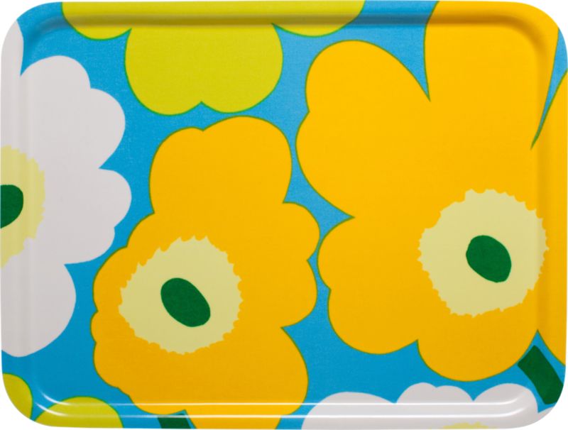 Blue and Green and Orange Tray. 17"Wx13"D