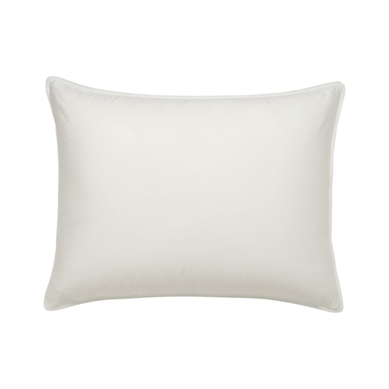Set of 2 Standard Pillow Protectors
