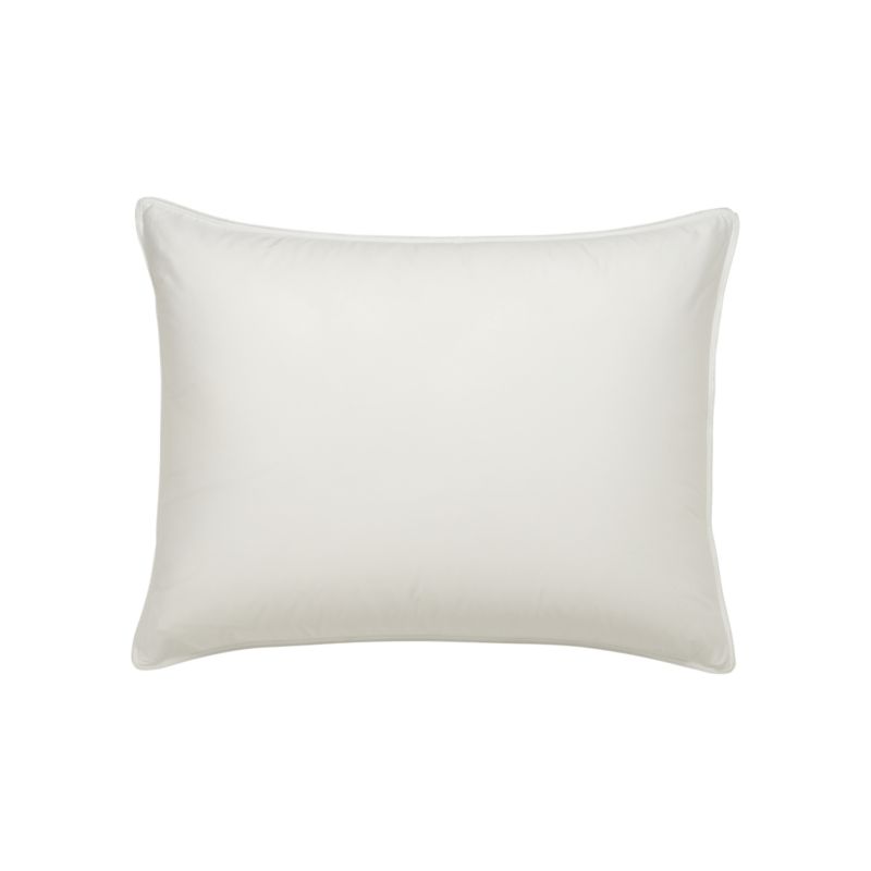 PillowProtectorStandardS8
