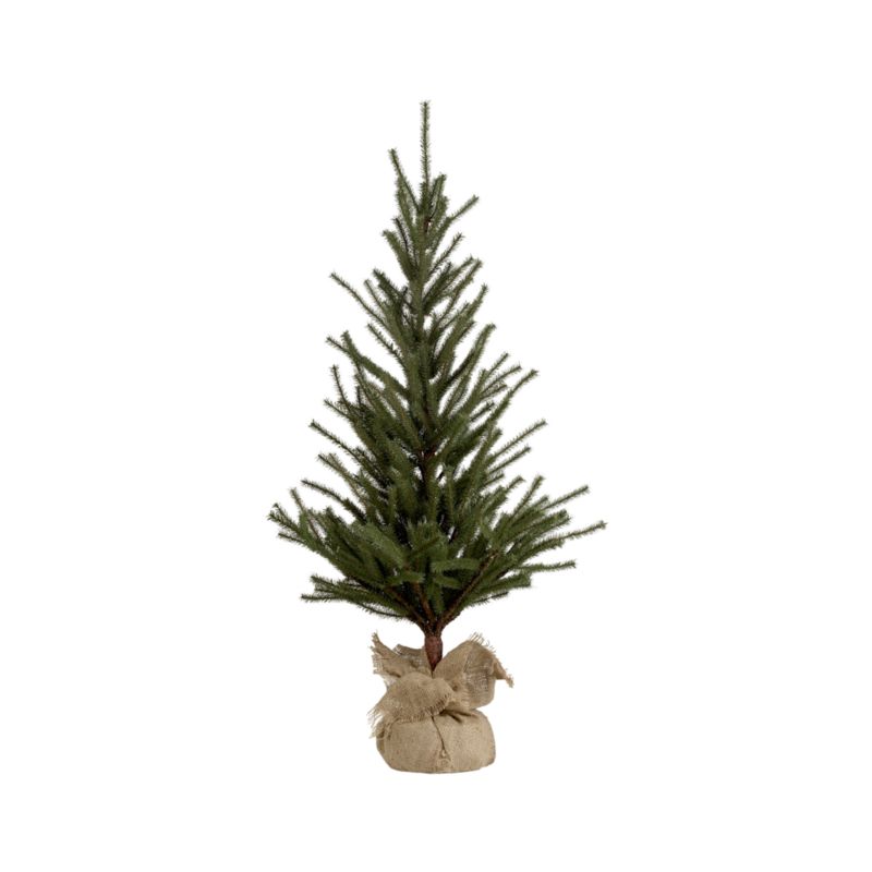 Crate and Barrel - 42" Pine Tree shopping in Crate and Barrel Christmas from crateandbarrel.com