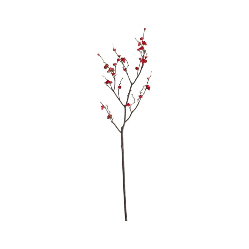 Plum Blossom Branch