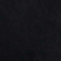 Polished: Ebony
