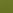 Polished: Kiwi