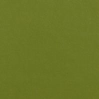Polished: Kiwi