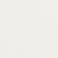 Polished: White