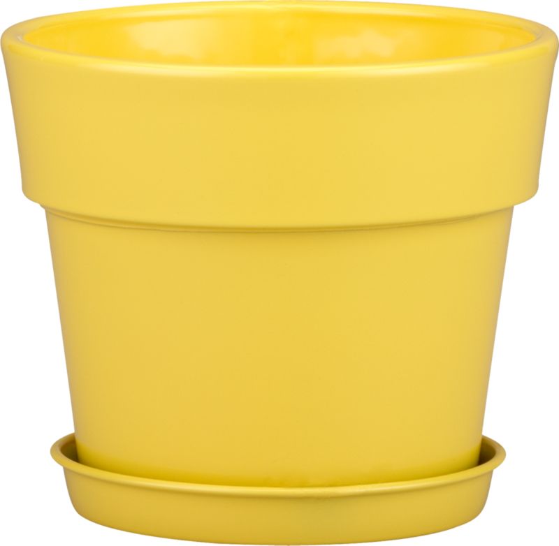 Yellow 5" Pot with Saucer