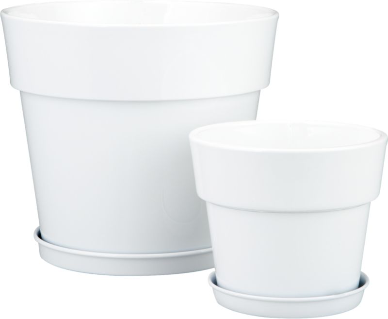 White Pots with Saucers