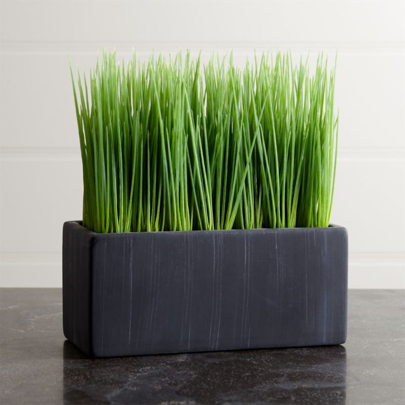 Large Potted Grass | Crate and Barrel