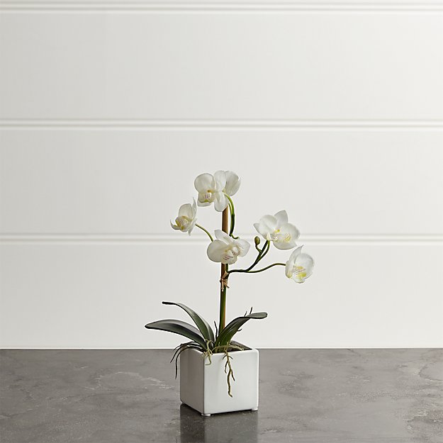 Artificial Orchid Plant Crate and Barrel