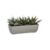 PottedTripleAloeS11