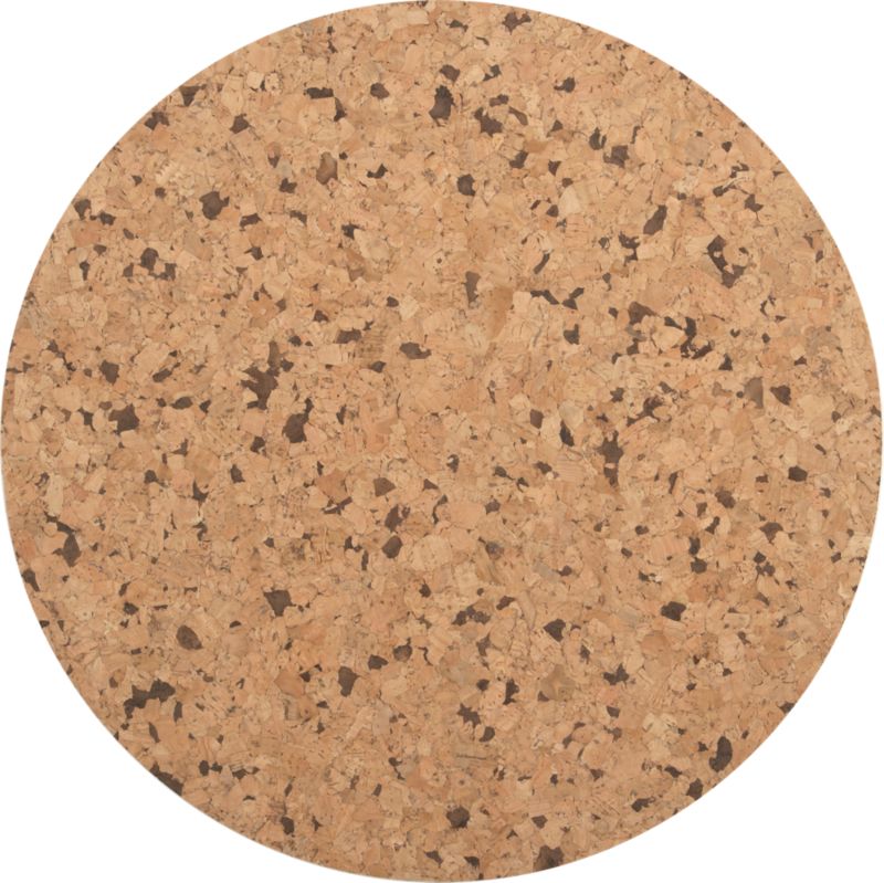 Reversible Light Cork Placemat.