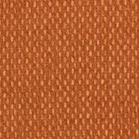 Samba: Pumpkin