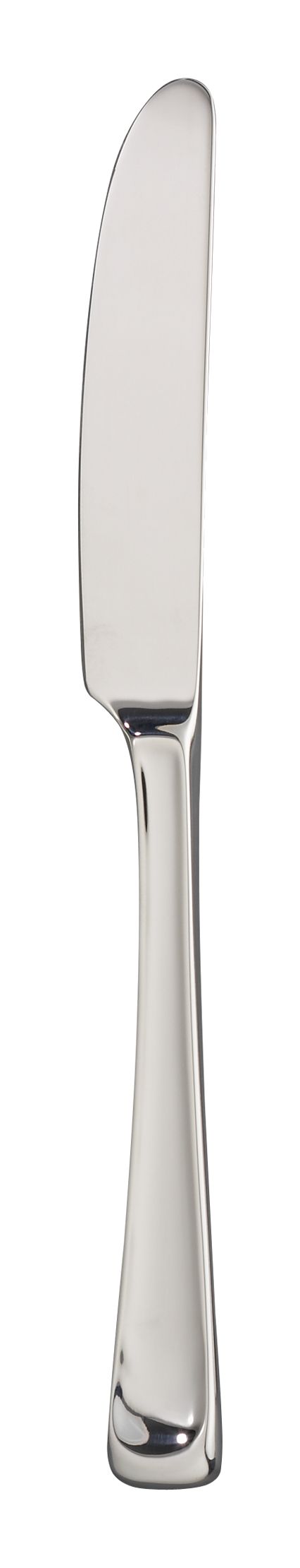 ScoopDinnerKnifeS11