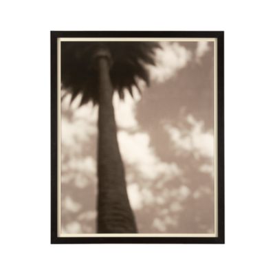 Sepia Palm Print