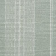Soso: Spruce
