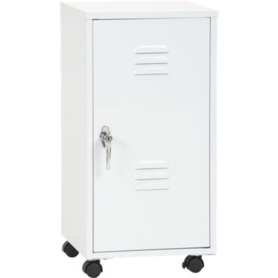 Storage Locker with Casters