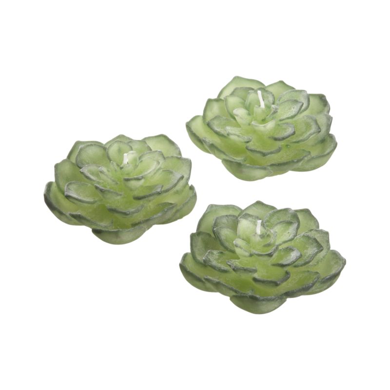 Set of 3 Succulent Floating Candles