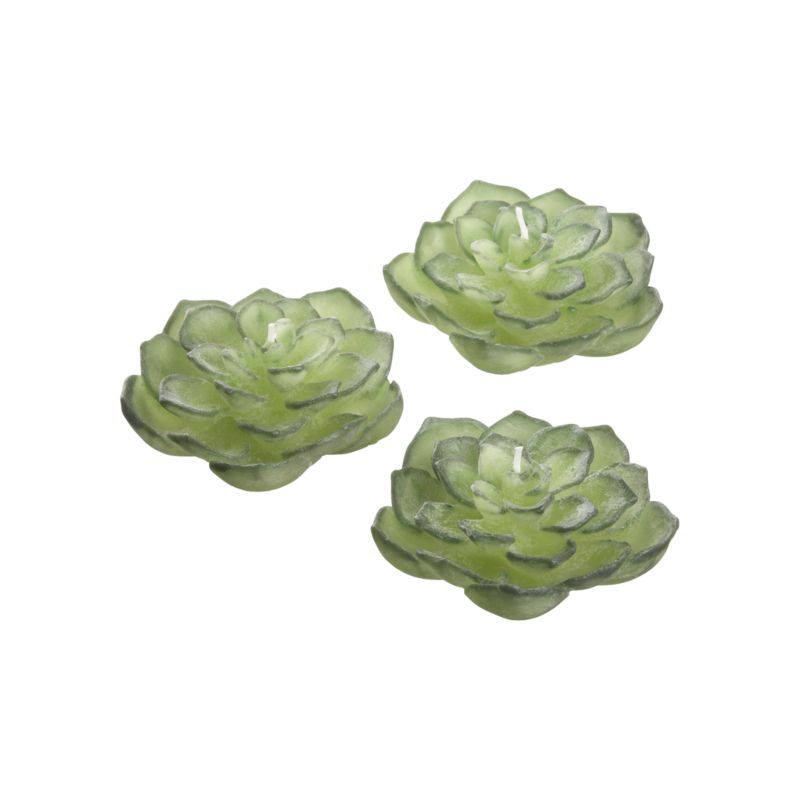 SucculentFloatersS3S12