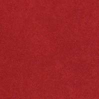 Suede Life: Ruby Red