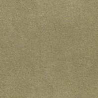 Suede Life: Sage