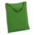 SunLoungerNGrnBagAVOT11